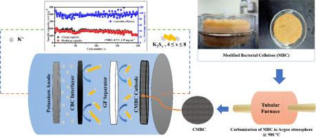 In-situ banana fiber-modified carbonized bacterial cellulose as a free-standing and binder-free cathode host for potassium-sulfur batteries