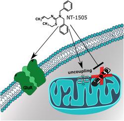 Neuroprotective thiourea derivative uncouples mitochondria and exerts weak protonophoric action on lipid membranes