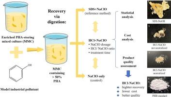 Scalable recovery of polyhydroxyalkanoate (PHA) from a mixed microbial culture via a novel acidification-NaClO digestion process