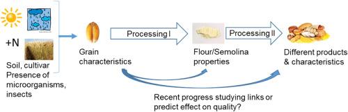 How can we evaluate and predict wheat quality?