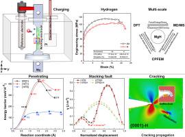 Discerning the duality of H in Mg: H-induced damage and ductility