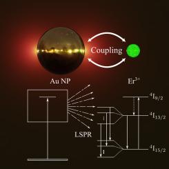 Quantum-plasmonic engineering to improve the 1.53 µm radiative emission in Er3+-doped tellurite glasses under controlled temperature