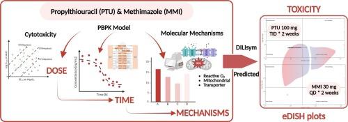 Comparison of drug-induced liver injury risk between propylthiouracil and methimazole: A quantitative systems toxicology approach