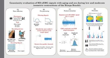 Gaussianity Evaluation of HD-sEMG Signals with Aging and Sex During Low and Moderate Isometric Contractions of the Biceps Brachii