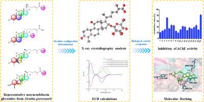 Unusual norcucurbitacin glycosides from the roots of Siraitia grosvenorii