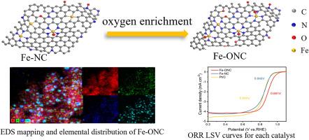 Oxygen-enriched Fe-N-C electrocatalyst for efficient oxygen reduction reaction