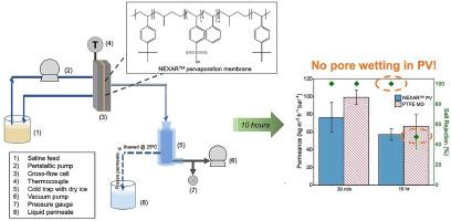 Desalination of complex saline waters: sulfonated pentablock copolymer pervaporation membranes do not fail when exposed to scalants and surfactants