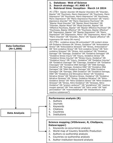 Bipolar disorder and oxidative stress: A bibliometric perspective