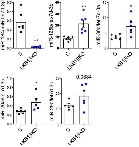 Liver kinase B1 (LKB1) regulates the epigenetic landscape of mouse pancreatic beta cells