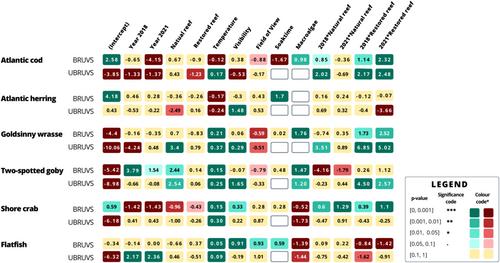 Cobble reef restoration in the Baltic Sea: Implications for life below water