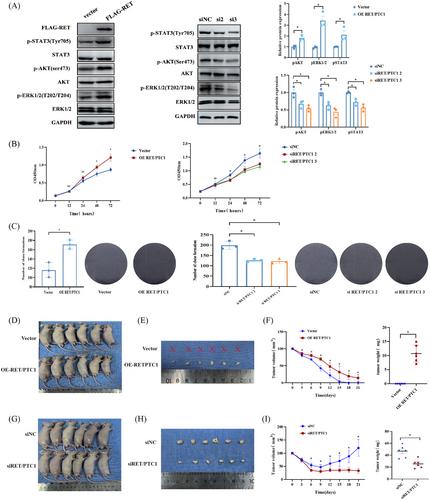 Low-dose ionizing radiation-induced RET/PTC1 rearrangement via the non-homologous end joining pathway to drive thyroid cancer