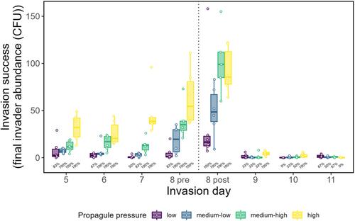 Disturbances can facilitate prior invasions more than subsequent invasions in microbial communities