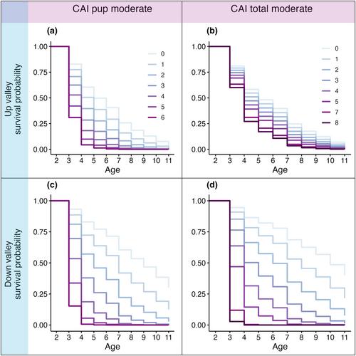 Cumulative adversity and survival in the wild