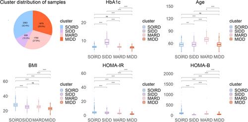 Clinical characteristics and complication risks in data-driven clusters among Chinese community diabetes populations