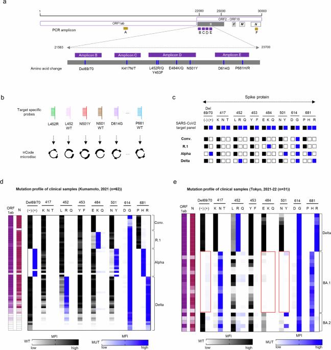 A micro-disc-based multiplex method for monitoring emerging SARS-CoV-2 variants using the molecular diagnostic tool Intelli-OVI