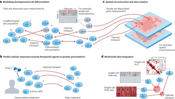 Optimal transport for single-cell and spatial omics