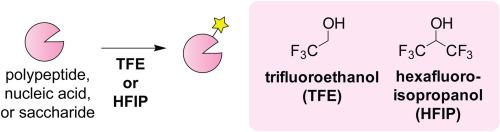 Fluoroalcohols for chemical modification of biomolecules