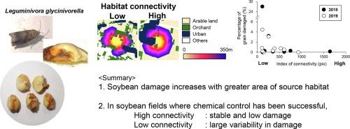 Effects of the area of source habitat and habitat connectivity on soybean pod borer damage: Implications for area-wide management