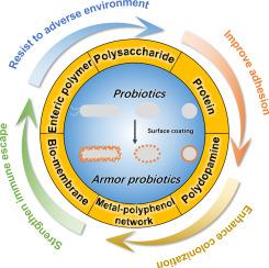 Single-cell encapsulation systems for probiotic delivery: Armor probiotics