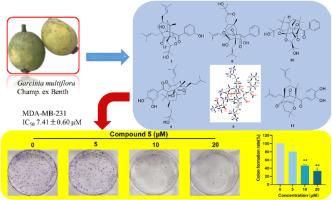 Polycyclic polyprenylated acylphloroglucinols from the pericarps of Garcinia multiflora champ. ex Benth. with cytotoxic property