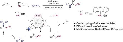 Photoredox-catalyzed difunctionalization of alkenes through CN coupling and multicomponent radical/polar crossover