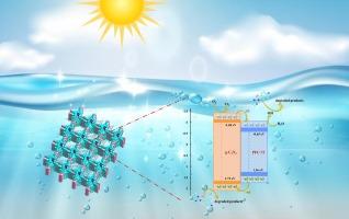 A novel hydrogen-bonded organic framework/g-C3N4 heterojunction for improved sulfadiazine photodegradation via effective electron transfer