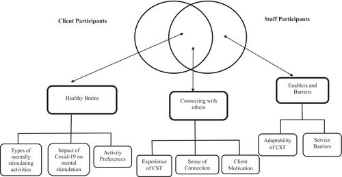 Preliminary feasibility study of a cognitive stimulation therapy programme for older adults with an intellectual disability