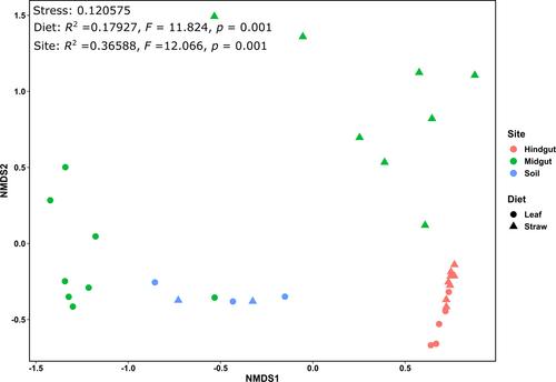 Three-domain microbial communities in the gut of Pachnoda marginata larvae: A comparative study revealing opposing trends in gut compartments