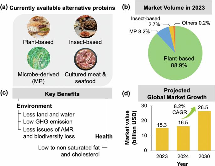 Current challenges of alternative proteins as future foods