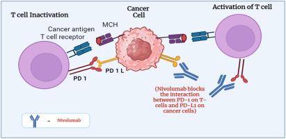 Nivolumab (Opdivo) in PD-1 pathway inhibition: Enhancing immune response in recurrent oral squamous cell carcinoma