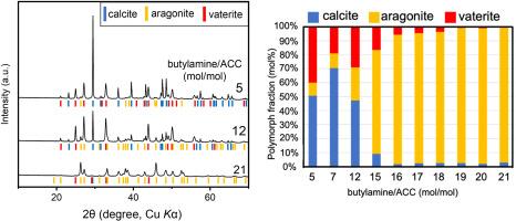 Humidity-induced aragonite formation from amorphous calcium carbonate (ACC) with addition of n-butylamine