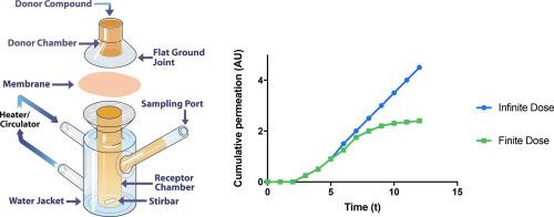 In vitro permeation testing for the evaluation of drug delivery to the skin