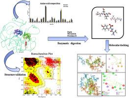 Bioactive peptides derived from the enzymatic hydrolysis of cowhide collagen for the potential treatment of atherosclerosis: A computational approach