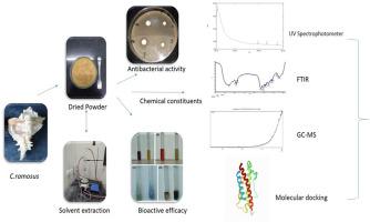 Nutritional composition, antioxidant properties, and molecular docking strategy of muricidae operculum (Chicoreus ramosus)