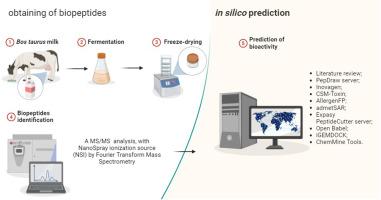 The fermented milk can be a natural ally against obesity? Investigation of bovine milk fermentation by Lacticaseibacillus casei LBC 237, screening, and In silico predictions of bioactive peptides for obesity control