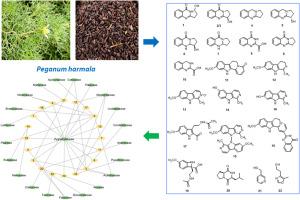 Alkaloids from the seeds of Peganum harmala and their chemotaxonomic significance