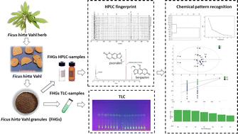 Quality evaluation for Ficus hirta Vahl granules, using TLC and HPLC fingerprint combined with chemical pattern recognition†