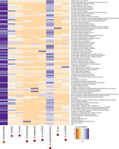 Unravelling the genomic and environmental diversity of the ubiquitous Solirubrobacter