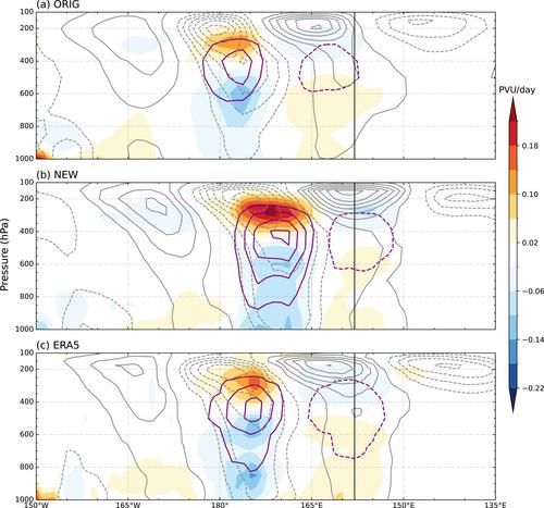 Wave-Convection Interactions Amplify Convective Parameterization Biases in the South Pacific Convergence Zone