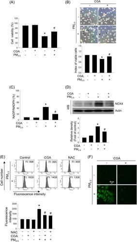 The inhibitory effect of chlorogenic acid on oxidative stress and apoptosis induced by PM2.5 in HaCaT keratinocytes