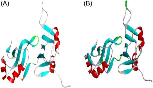 Exploring computational approaches to design mRNA Vaccine against vaccinia and Mpox viruses