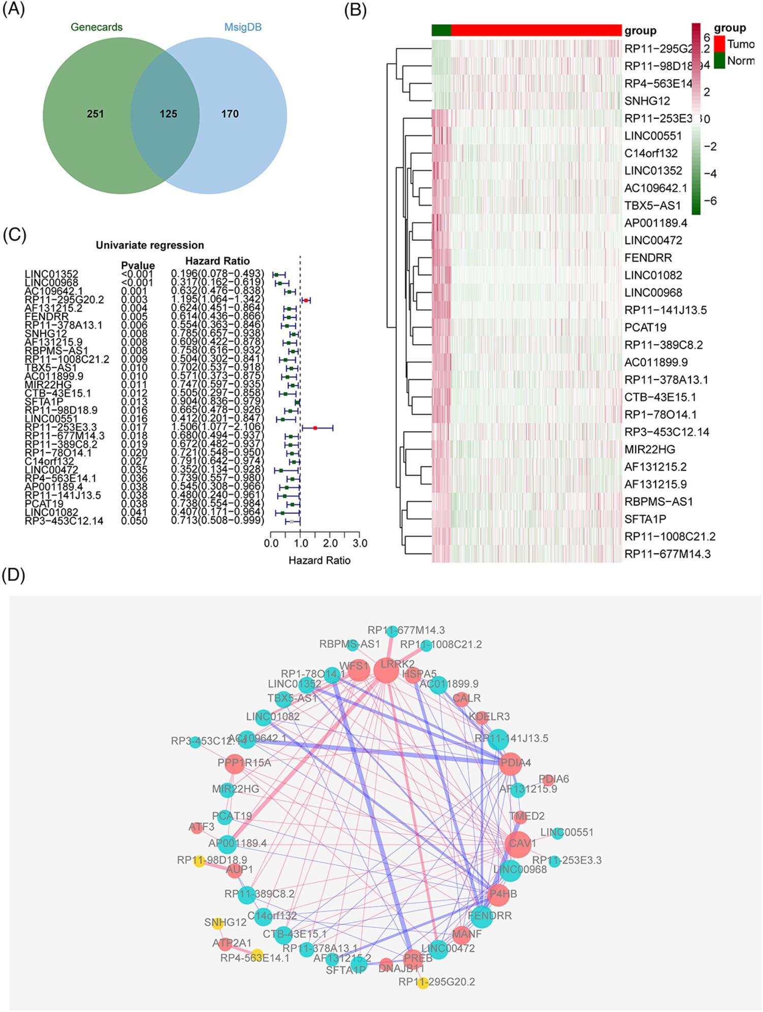 Building endoplasmic reticulum stress-related LncRNAs signatures of lung adenocarcinoma