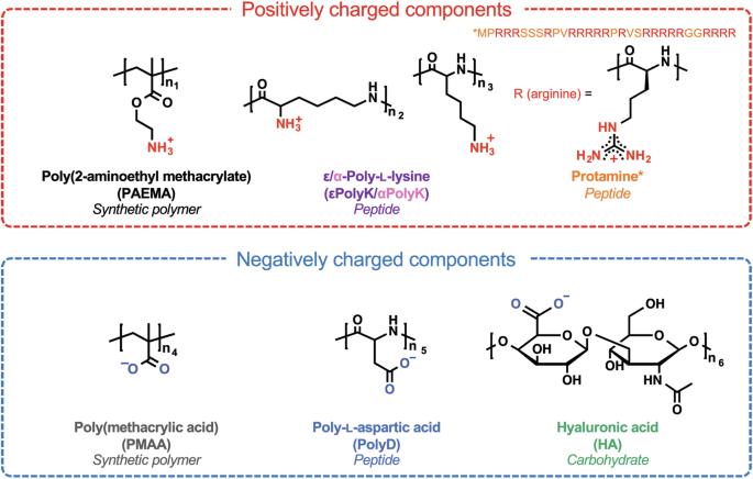 Influence of the backbone chemistry and ionic functional groups of five pairs of oppositely charged polyelectrolytes on complex coacervation