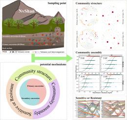 The assembly process and co-occurrence network of soil microbial community driven by cadmium in volcanic ecosystem