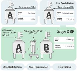 Pilot-scale evaluation of a dynamic body-feed filtration system for primary clarification of snake antivenoms produced by the caprylic acid method