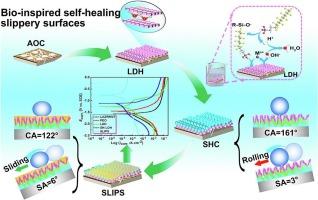 Bio-inspired self-healing slippery surfaces with smart multifunctionality on MgLi alloys