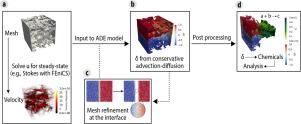 Resolving pore-scale concentration gradients for transverse mixing and reaction in porous media