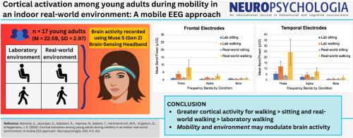 Cortical activation among young adults during mobility in an indoor real-world environment: A mobile EEG approach