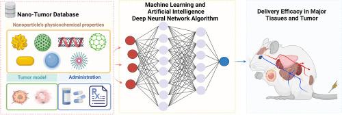 Predicting tissue distribution and tumor delivery of nanoparticles in mice using machine learning models