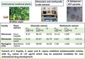 Efficacy of medicinal plants and their derived biomolecules against Plasmodium falciparum